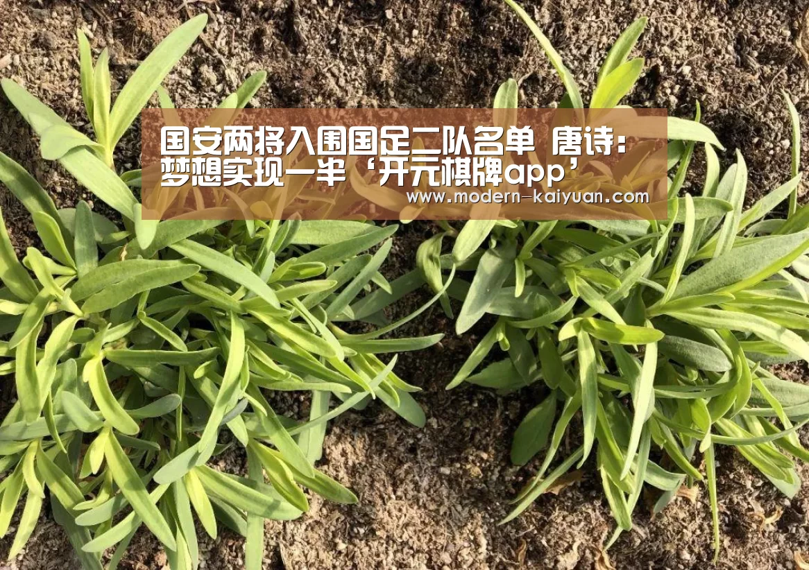 国安两将入围国足二队名单 唐诗:梦想实现一半‘开元棋牌app’