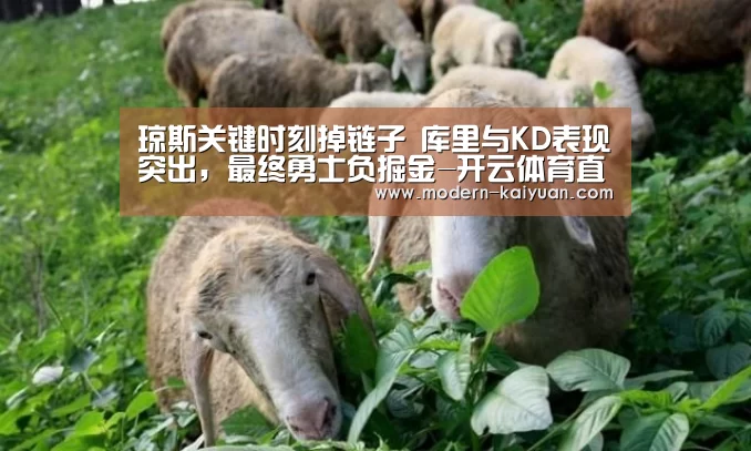 开云体育直播